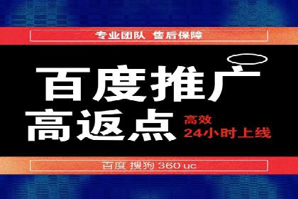 行业领先企业的网络推广与竞价经验