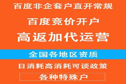 探索百度推广运营的奥秘：提升ROI的技巧